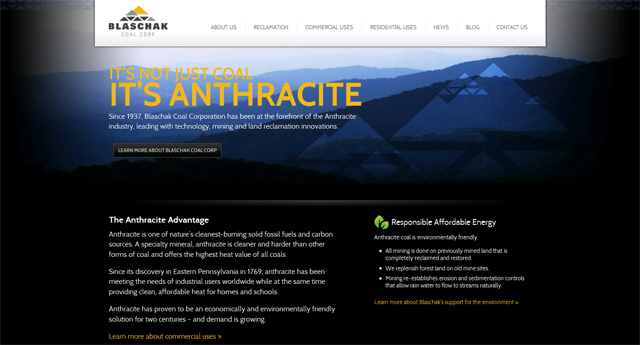 煤炭行业建站方案